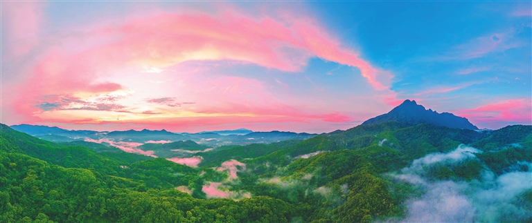 海南热带雨林国家公园设立三周年