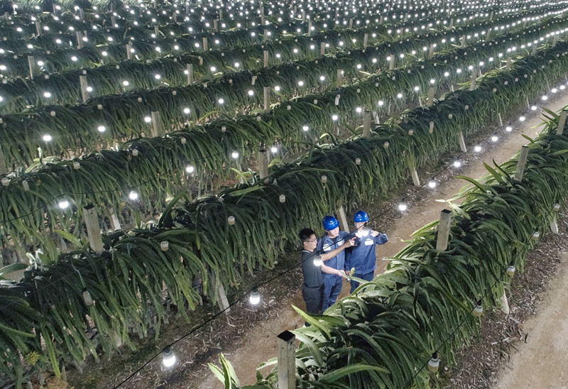 深耕配网供电可靠性　服务海南自贸