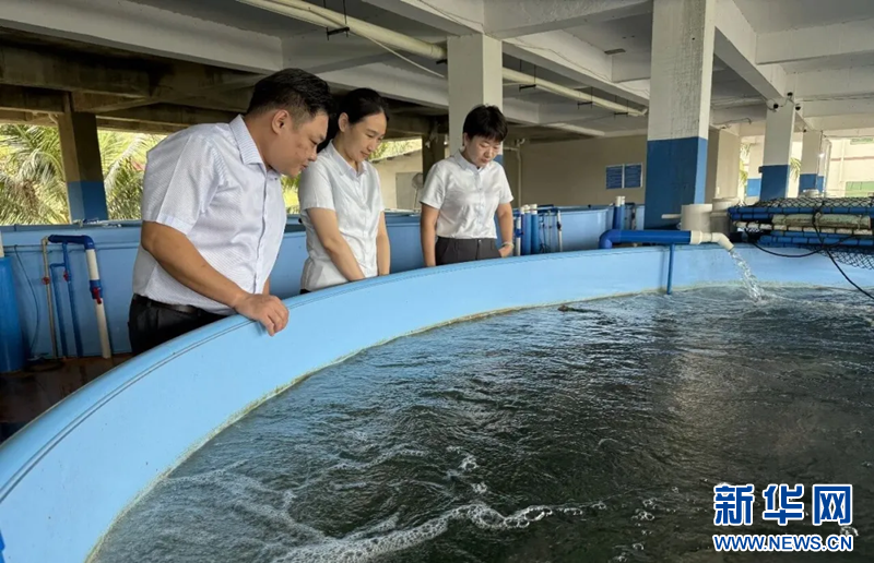 海南农商银行摘得全省“两优一先”