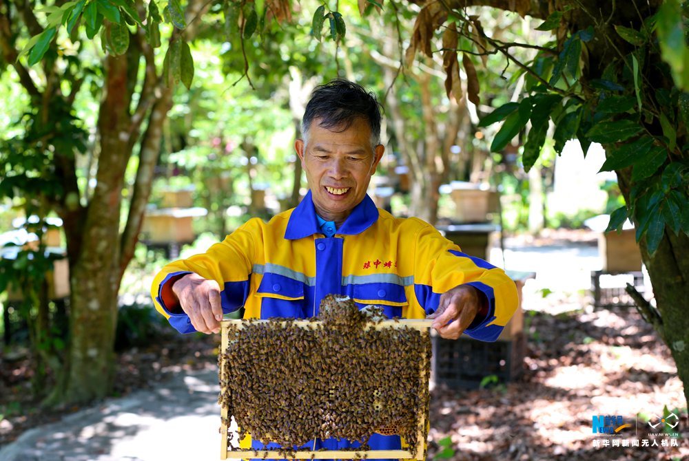 航拍“海南省最美蜂农”的甜蜜生活