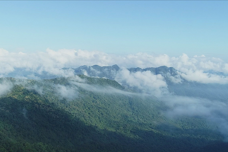 海南鹦哥岭——雨林秘境 秀美风景