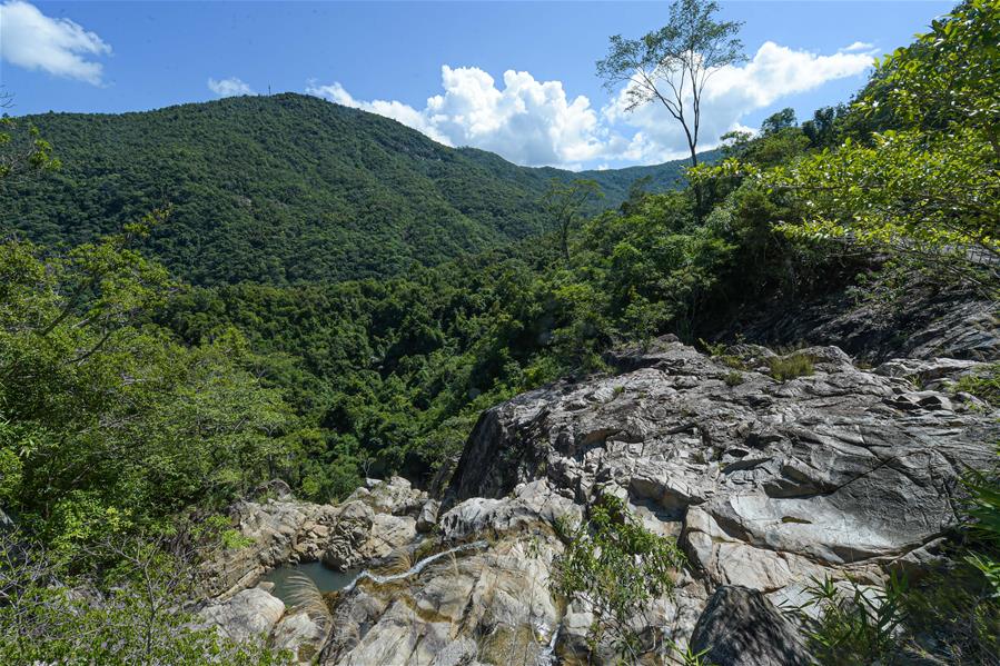 探访海南热带雨林国家公园
