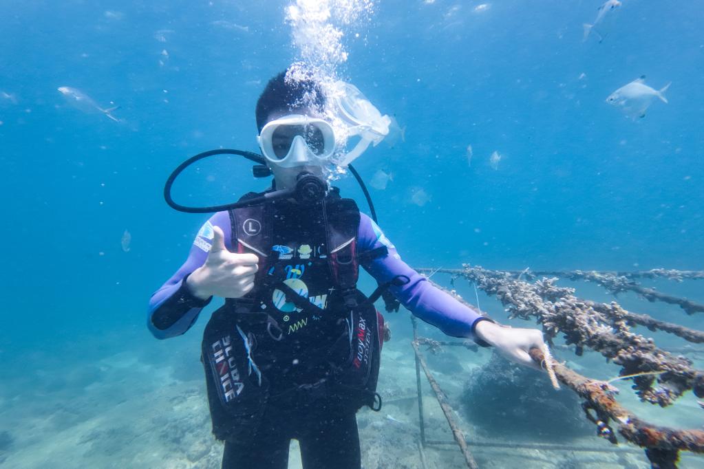三亚：游客“种”珊瑚体验蓝色生态游