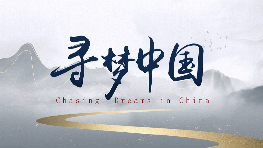 全球连线|寻梦中国：海南，梦想的“归宿”