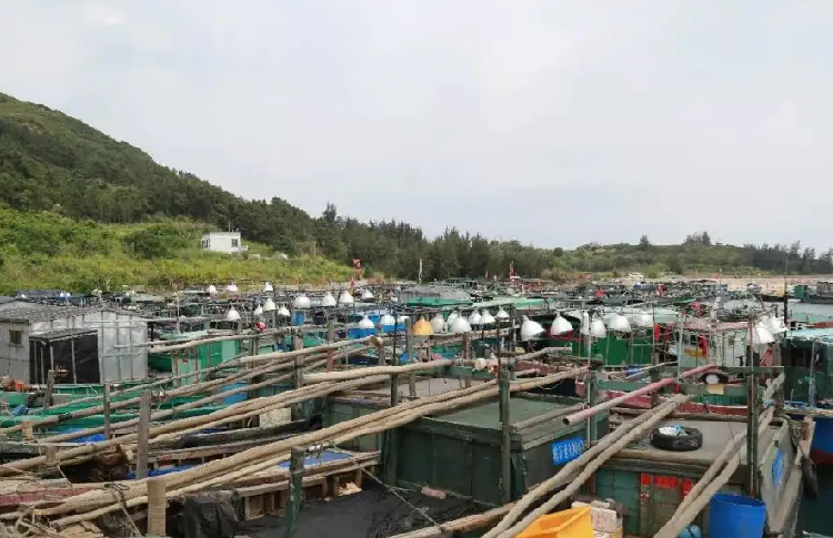 海南：渔船静态管理持续至本月22日
