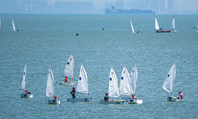 省第六届运动会帆板帆船比赛开赛