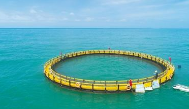 海南：休闲渔业用海3个月内免办用海手续