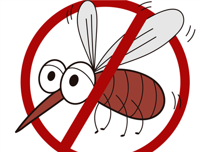 海南省将开展集中灭蚊行动