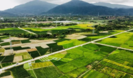 海南建成高标准农田477万余亩 助力农业高质量发展